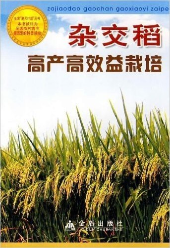 杂交稻高产高效益栽培