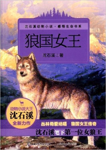 沈石溪动物小说·感悟生命书系:狼国女王