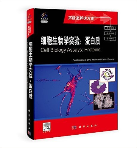 细胞生物学实验:蛋白质(导读版)(英文版)
