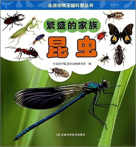 走进动物王国科普丛书·繁盛的家族:昆虫