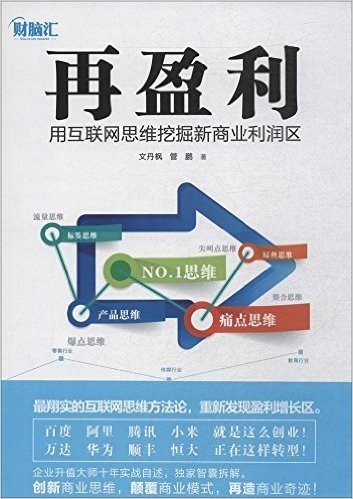 再盈利:用互联网思维挖掘新商业利润区