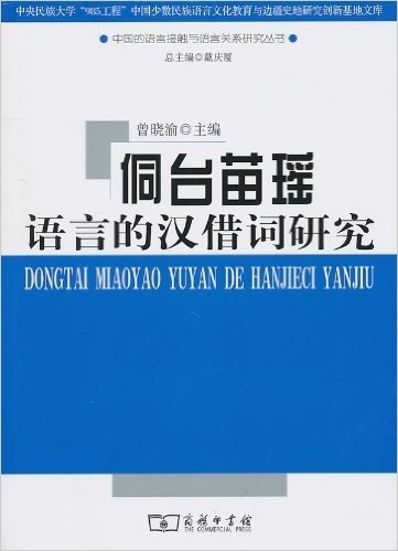 侗台苗瑶语言的汉借词研究