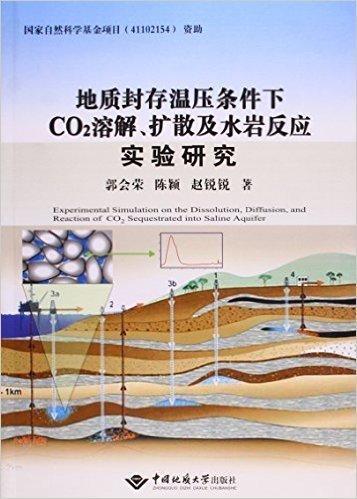 地质封存温压条件下CO2溶解扩散及水岩反应实验研究