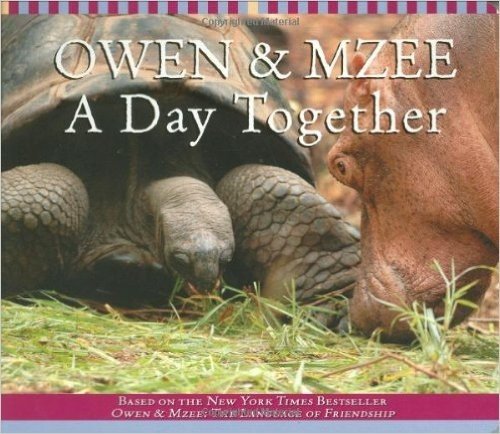 Owen and Mzee: A Day Together
