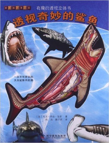 有趣的透视立体书:透视奇妙的鲨鱼