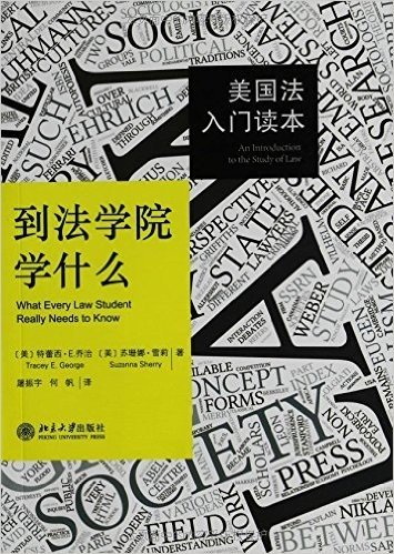 到法学院学什么:美国法入门读本