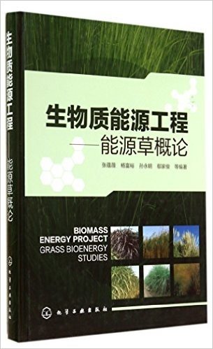 生物质能源工程-能源草概论