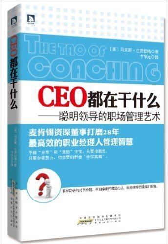 CEO都在干什么:聪明领导的职场管理艺术