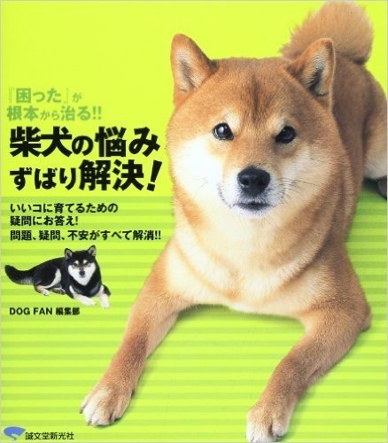 柴犬の悩みずばり解決! 『困った』が根本から治る!! いいコに育てるための疑問にお答え!問題、疑問、不安がすべて解消!!