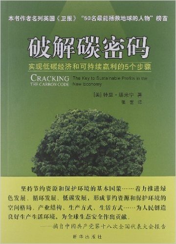 破解碳密码:实现低碳经济和可持续赢利的5个步骤