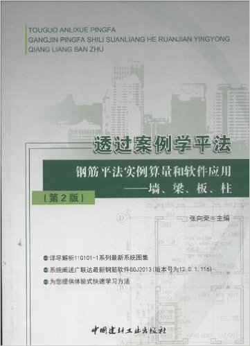 透过案例学平法:钢筋平法实例算量和软件应用·墙、梁、板、柱(第2版)