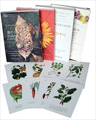 自然文库丛书(《看不见的森林》+《一平方英寸的寂静》+《鲜花帝国》+《种子的故事》)(套装共4册)(附限量精美彩色明信片8张)TZ