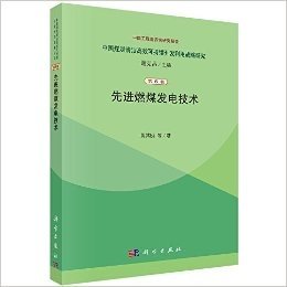 中国煤炭清洁高效可持续开发利用战略研究(第6卷):先进燃煤发电技术