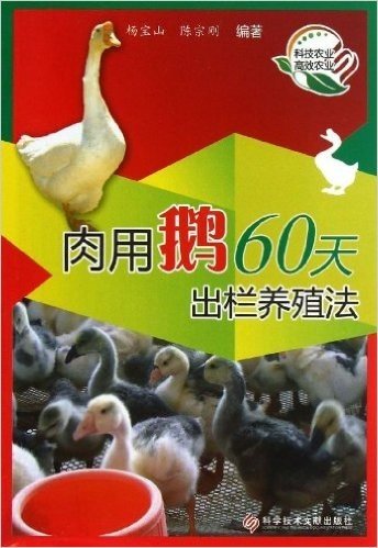 肉用鹅60天出栏养殖法