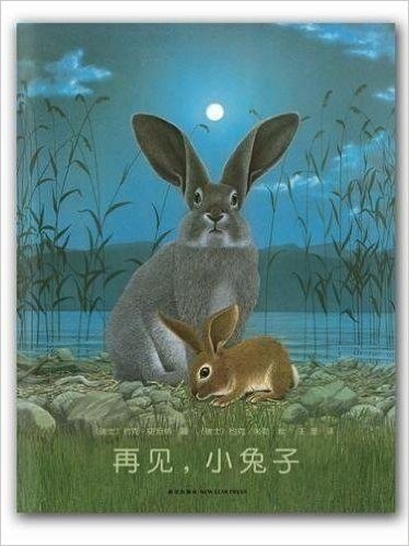 约克•史坦纳:再见,小兔子