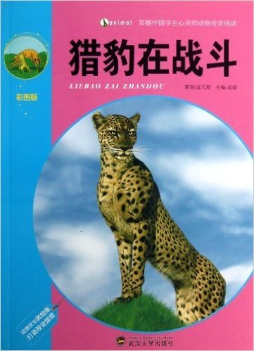 震撼中国学生心灵的动物传奇阅读:猎豹在战斗(彩图版)
