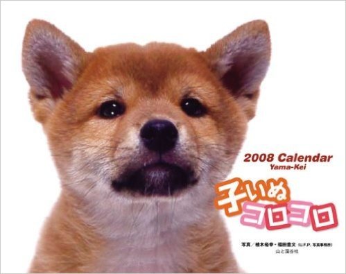 子いぬコロコロ 2008(カレンダー) (2008)