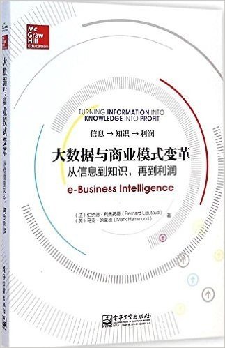 大数据与商业模式变革:从信息到知识,再到利润