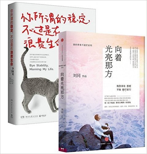 向着光亮那方+你所谓的稳定不过是在浪费生命（共2册）