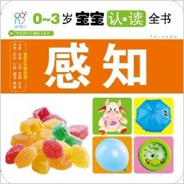 宝宝撕不烂翻翻书系列•0-3岁宝宝认•读全书:感知