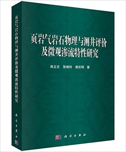 页岩气岩石物理与测井评价及微观渗流特性研究