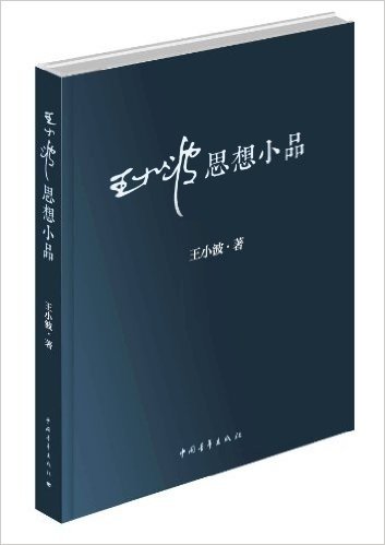 王小波思想小品