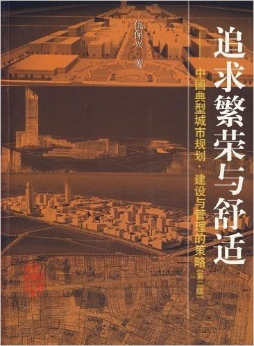 追求繁荣与舒适:中国典型城市规划、建设与管理的策略(第2版)