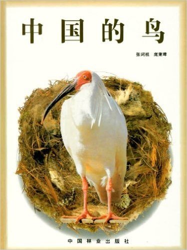 中国的鸟