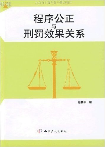 程序公正与刑罚效果关系