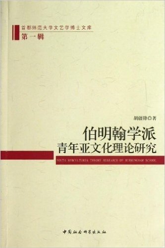 首都师范大学文艺学博士文库(第1辑):伯明翰学派青年亚文化理论研究