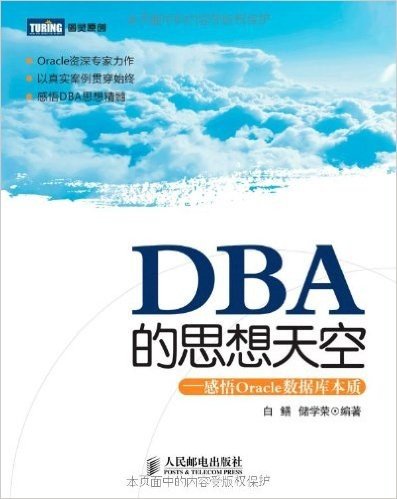 DBA的思想天空:感悟Oracle数据库本质