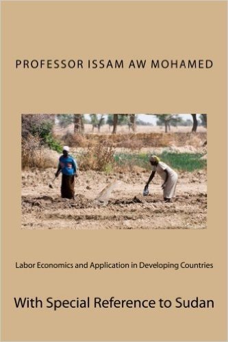 Labor Economics and Application in Developing Countries: With Special Reference to Sudan