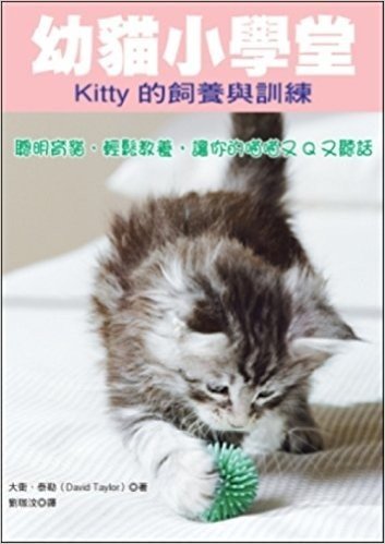 幼貓小學堂-Kitty 的飼養與訓練