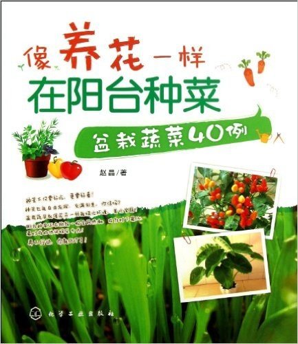 像养花一样在阳台种菜:盆栽蔬菜40例
