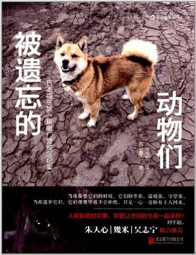 被遗忘的动物们:日本福岛第一核电厂警戒区纪实
