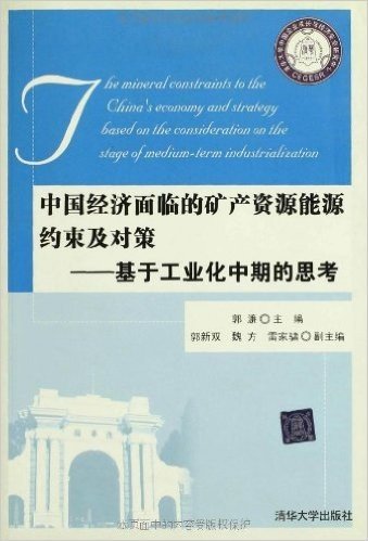 中国经济面临的矿产资源能源约束及对策:基于工业化中期的思考