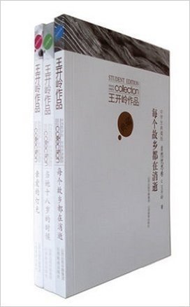 王开岭作品集:当她十八岁的时候+亲爱的灯光Z+每个故乡都在消逝 套装共3册