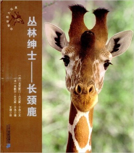 动物世界大写真•丛林绅士:长颈鹿
