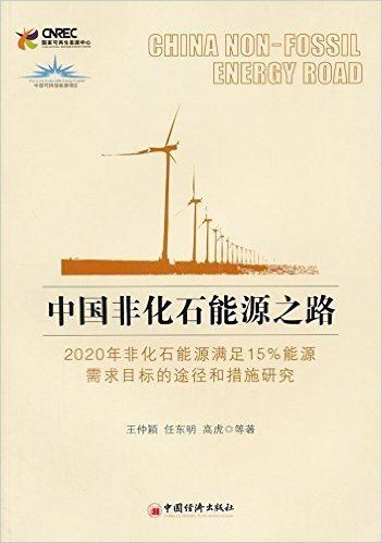 中国非化石能源之路:2020年非化石能源满足15%能源需求目标的途径和措施研究