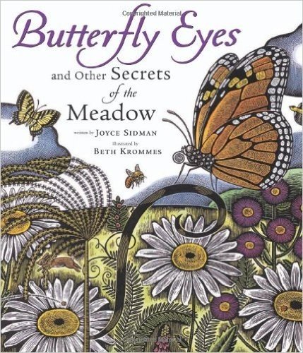 Butterfly Eyes and Other Secrets of the Meadow