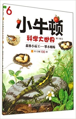 森林小霸王--攀木蜥蜴/小牛顿科学大世界