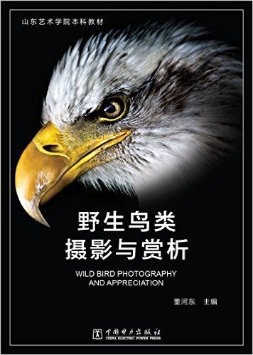 山东艺术学院本科教材:野生鸟类摄影与赏析