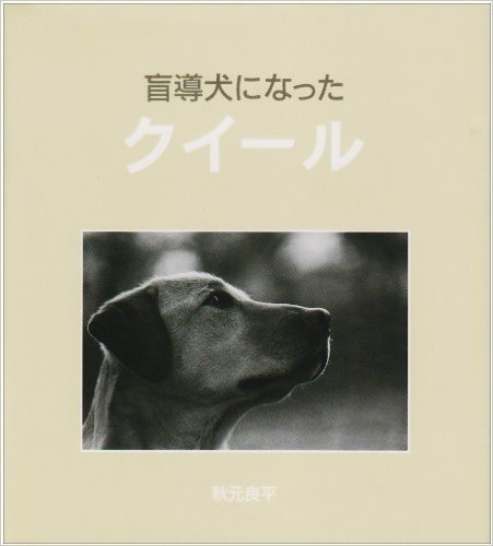 盲導犬になったクイール