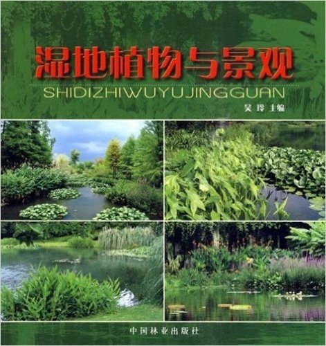 湿地植物与景观