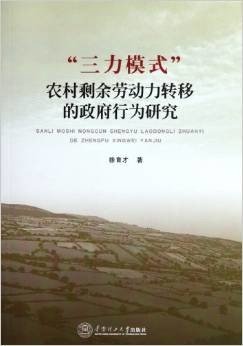 三力模式农村剩余劳动力转移的政府行为研究