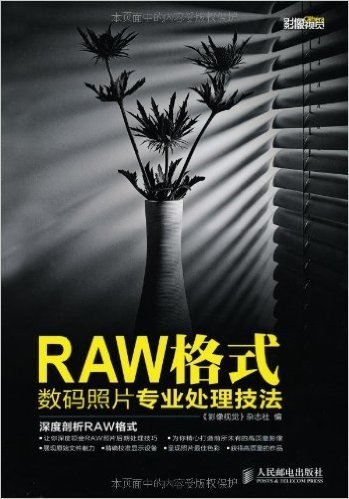 RAW格式数码照片专业处理技法