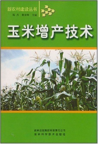 玉米增产技术