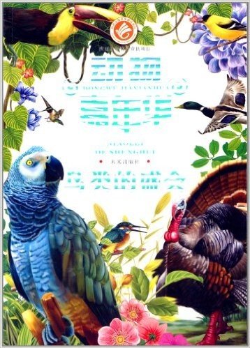 动物嘉年华:鸟类的盛会