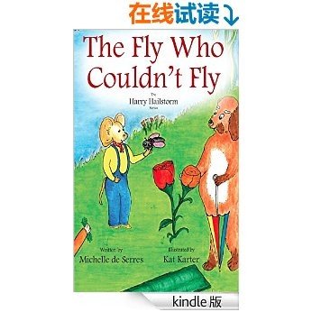 The  Fly Who Couldn’t Fly (Harry Hailstorm Series)