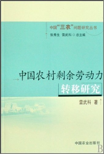 中国农村剩余劳动力转移研究